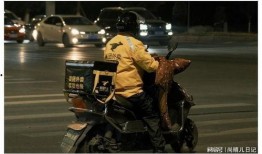 外卖员真实爆料视频,揭秘外卖行业背后的辛酸与挑战