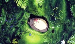 龙猫博士爆料视频,视频内容深度解析