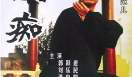 武痴电影全集在线观看,武侠世界里的热血传奇