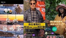 大将星光村爆料视频,大将爆料视频背后的真实故事