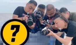 自媒体爆料真相视频大全,真相视频大全深度解析