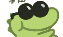小蛙表情包爆料视频下载,揭秘网络红人幕后故事