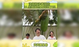 娱乐八卦最新爆料热点娱乐素材,最新爆料揭秘明星幕后故事