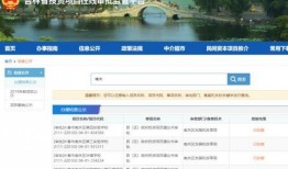 南关区最新爆料信息,揭秘神秘项目背后的惊人真相！