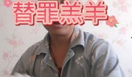 替罪羔羊在线视频观看,在线视频中的真实与虚构