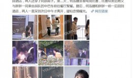 女星恋情爆料视频大全集,视频大全集深度解析
