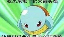 小蛙表情包爆料视频下载,揭秘网络红人幕后故事