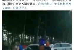 最近唐山爆料案件最新,真相与反思，社会治安再引关注