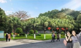 中山公园直播爆料最新情况,揭秘现场盛况与精彩瞬间