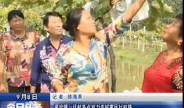 大将星光村爆料视频,大将爆料视频背后的真实故事