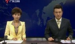 广东新闻联播爆料电话,揭秘电话背后的新闻故事