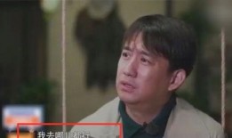 小天后爆料黄磊视频全集,小天后爆料视频全集，真实生活与演艺事业全解析