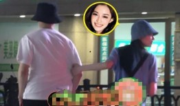 女星恋情爆料视频大全集,视频大全集深度解析