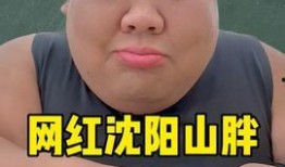 娱乐爆料君铲屎官,揭秘铲屎官背后的故事