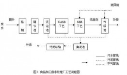 食品制造爆料流程视频,视频曝光背后的真相