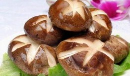 香菇炖爆料娱乐节目