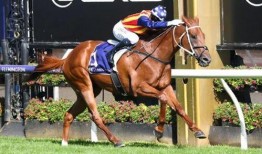 刘多多马双互相爆料视频,揭秘娱乐圈背后的真相