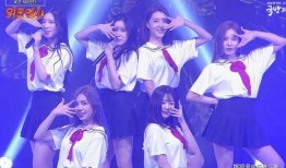 解散女团爆料视频大全集,爆料视频大全集深度解析