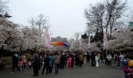 中山公园直播爆料最新情况,揭秘现场盛况与精彩瞬间