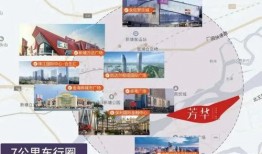 脱粉大粉爆料怎么做视频,视频制作背后的秘密解析