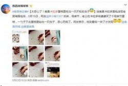 南昌卡拉多爆料事件视频,真相与争议交织