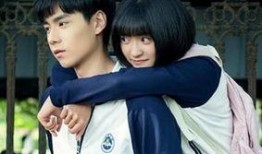 黄菊茶最新大爆料,揭秘其神秘功效与神奇作用