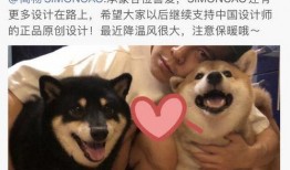 女明星爆料肖战视频合集,女明星揭露真相视频合集曝光