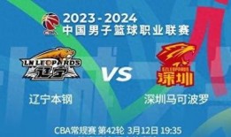 辽宁体育频道直播在线观看,精彩赛事，一键尽享