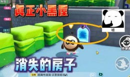 蛋仔周年庆爆料视频,揭秘爆料视频中的精彩瞬间