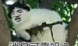 他们偷听我的心声我负责吃瓜免费,揭秘偷听者的免费吃瓜之旅