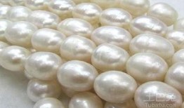 淡水珍珠爆料视频播放,揭秘珍珠养殖与加工全过程