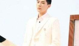 王安宇圈内人爆料视频,揭秘娱乐圈不为人知的幕后故事