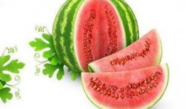 网红吃瓜颜色代表什么含义