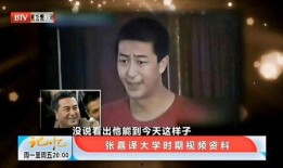 张嘉译电视剧爆料视频,电视剧幕后那些不为人知的秘密