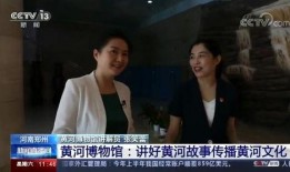 河南女士爆料新闻事件视频,揭秘背后惊人真相