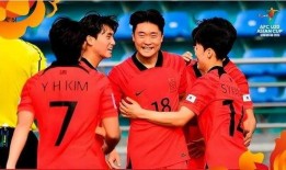 韩国男足爆料事件视频播放,揭秘赛场背后真相