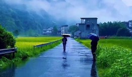 烟雨蒙蒙在线观看,穿越时空的浪漫邂逅