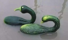 云南小伙吃瓜网红是谁,瓜界新秀的吃瓜传奇