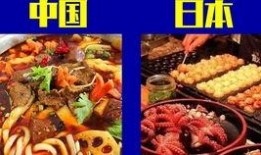硬哥美食爆料视频下载大全,视频下载大全，尽享美食盛宴