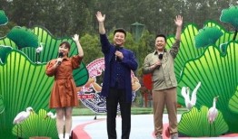 婚纱门市爆料视频大全最新,潮流趋势与选购攻略大盘点