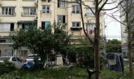 闵行丽园小区爆料事件视频,事件真相与居民反应全解析