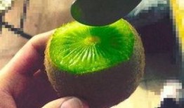 怎么吃抖音网红的瓜儿,揭秘网红美食背后的秘密