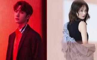 娱乐吃瓜酱温柔的法官,娱乐吃瓜酱背后的故事