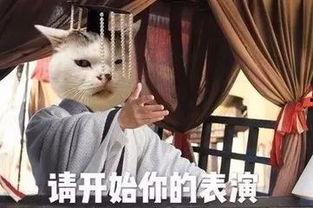 怎么靠近娱乐圈吃瓜的人,揭秘明星幕后生活
