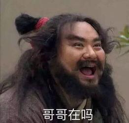 吃瓜系统搞笑沙雕小说娱乐圈