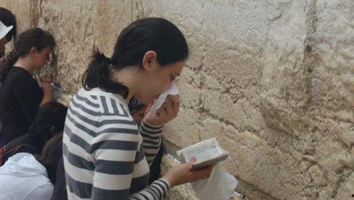 娱乐吃瓜君 网红是谁呀